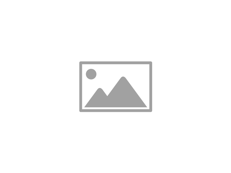 Brujic